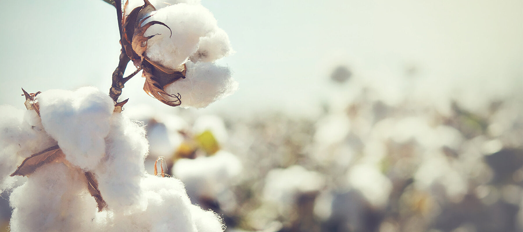 Ninki Nanka - GOTS and OEKO-TEX Certified Organic Cotton Products for Your Little One
